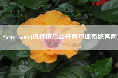上饶执行信息公开网查询系统官网