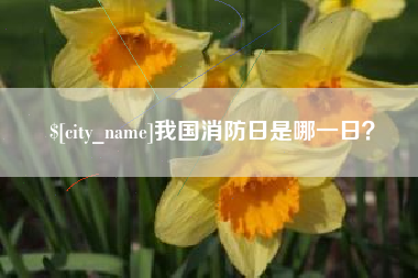 上饶我国消防日是哪一日？