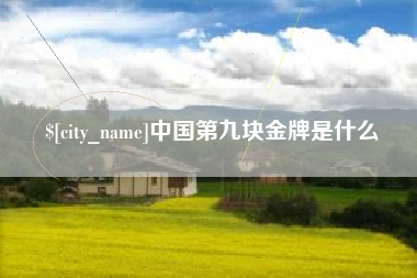 上饶中国第九块金牌是什么