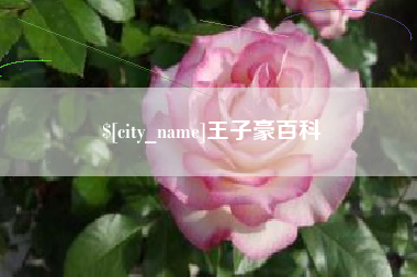 上饶王子豪百科