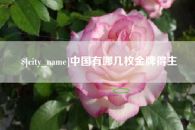 上饶中国有哪几枚金牌得主