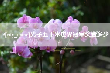 上饶男子五千米世界冠军奖金多少