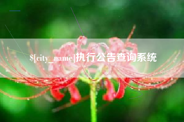 上饶执行公告查询系统