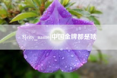 上饶中国金牌都是啥