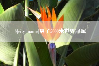 上饶男子5000米世界冠军
