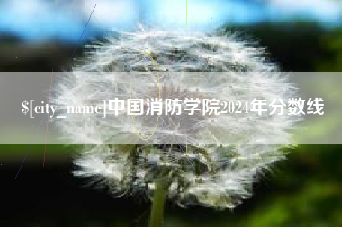 上饶中国消防学院2024年分数线