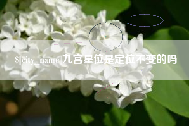 上饶九宫星位是定位不变的吗