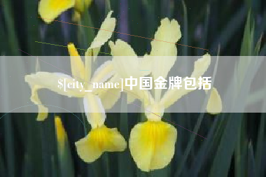 上饶中国金牌包括