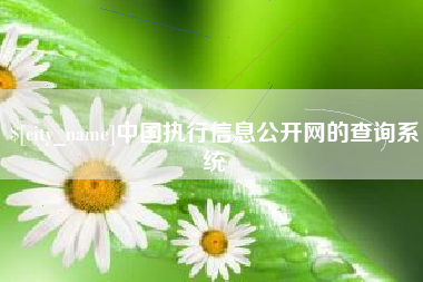 上饶中国执行信息公开网的查询系统