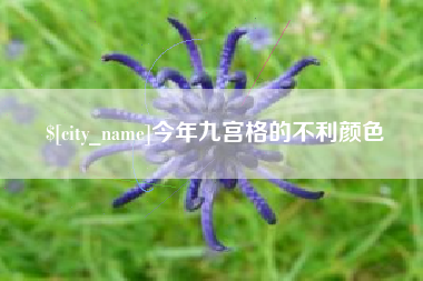 上饶今年九宫格的不利颜色