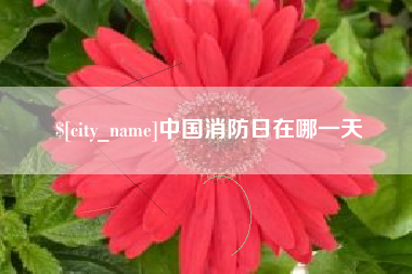 上饶中国消防日在哪一天