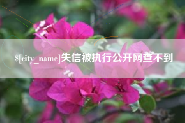 上饶失信被执行公开网查不到