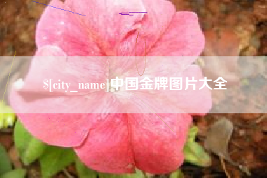 上饶中国金牌图片大全