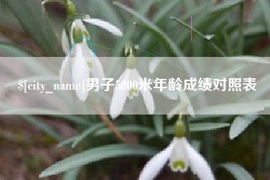 上饶男子5000米年龄成绩对照表