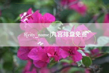 上饶九宫排盘免费