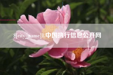 上饶1.中国执行信息公开网