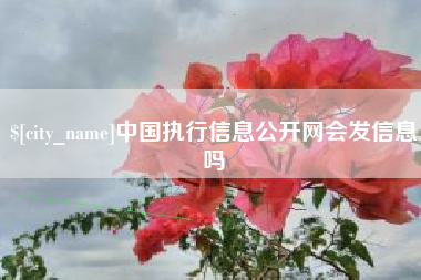 上饶中国执行信息公开网会发信息吗