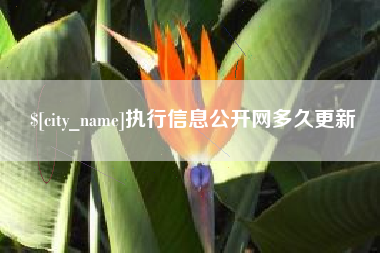 上饶执行信息公开网多久更新