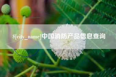 上饶中国消防产品信息查询