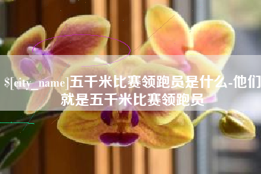上饶五千米比赛领跑员是什么-他们就是五千米比赛领跑员