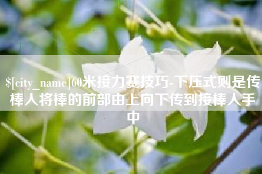 上饶60米接力赛技巧-下压式则是传棒人将棒的前部由上向下传到接棒人手中