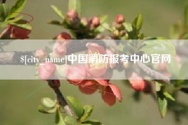 上饶中国消防报考中心官网