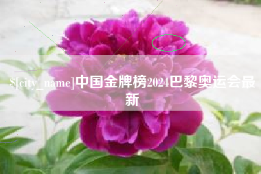 上饶中国金牌榜2024巴黎奥运会最新