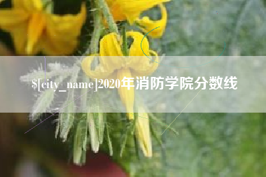 上饶2020年消防学院分数线