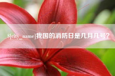 上饶我国的消防日是几月几号？