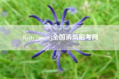 上饶全国消防招考网