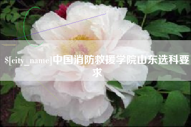 上饶中国消防救援学院山东选科要求