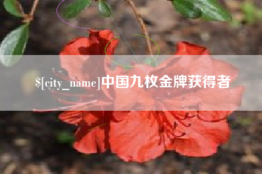 上饶中国九枚金牌获得者