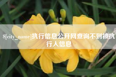 上饶执行信息公开网查询不到被执行人信息