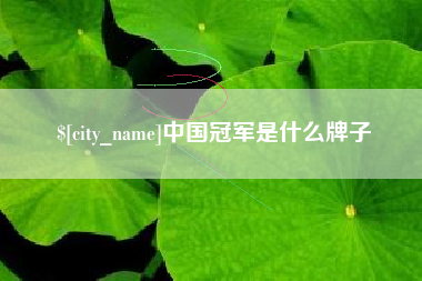 上饶中国冠军是什么牌子