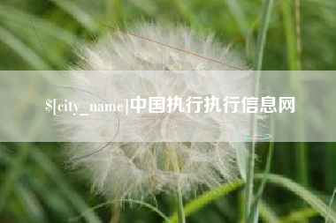 上饶中国执行执行信息网