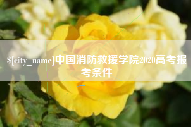上饶中国消防救援学院2020高考报考条件