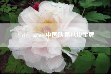 上饶中国队第八块金牌