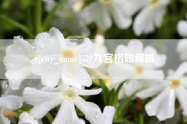 上饶579九宫格如何排