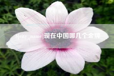 上饶现在中国哪几个金牌