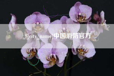 上饶中国消防官方