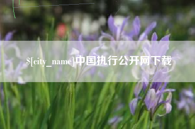 上饶中国执行公开网下载