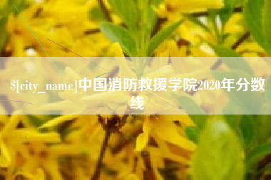 上饶中国消防救援学院2020年分数线