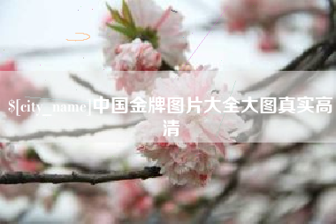 上饶中国金牌图片大全大图真实高清