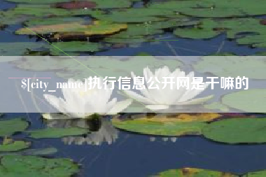 上饶执行信息公开网是干嘛的