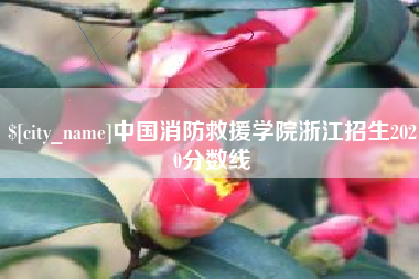 上饶中国消防救援学院浙江招生2020分数线