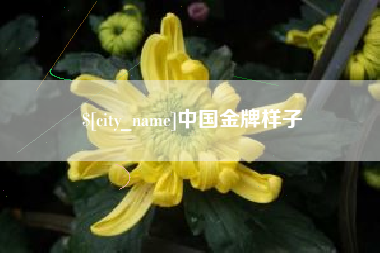 上饶中国金牌样子