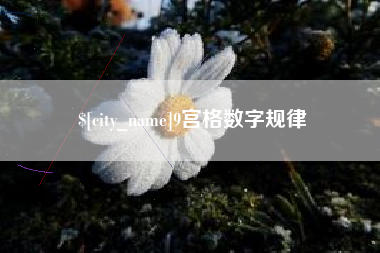 上饶9宫格数字规律