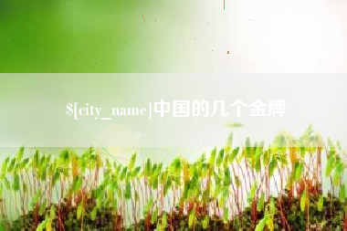 上饶中国的几个金牌
