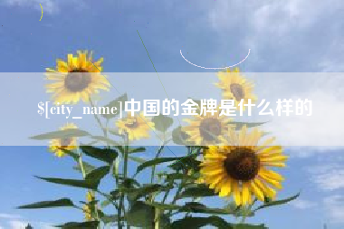 上饶中国的金牌是什么样的