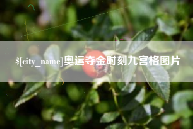 上饶奥运夺金时刻九宫格图片